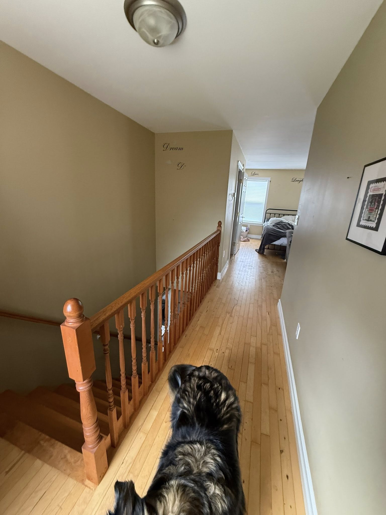 painting staircase wood bannister staircase